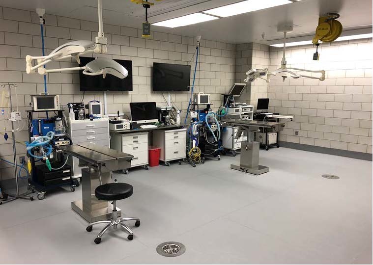 Surgical Suite