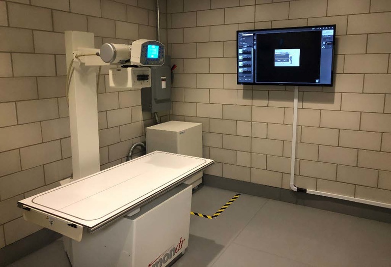 radiology